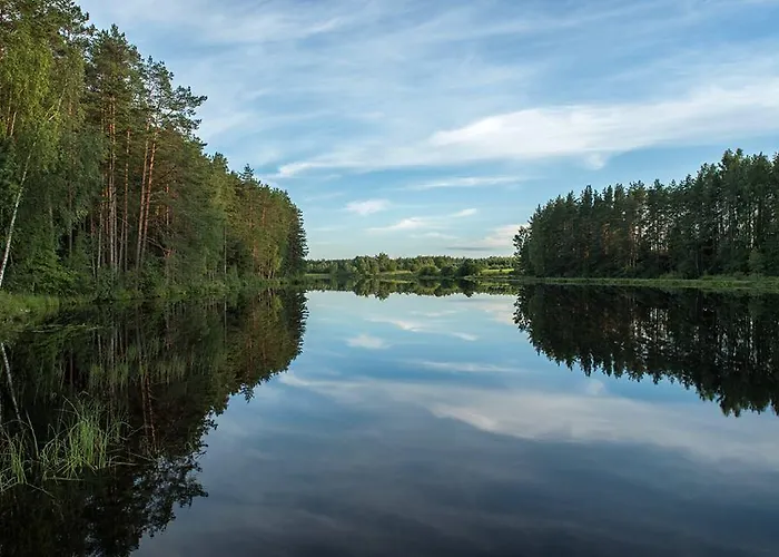 Pinnamaee House Partsi